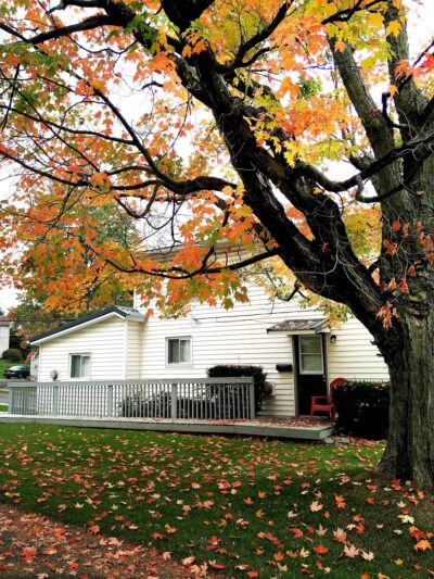 Smythe Park - Mansfield, PA