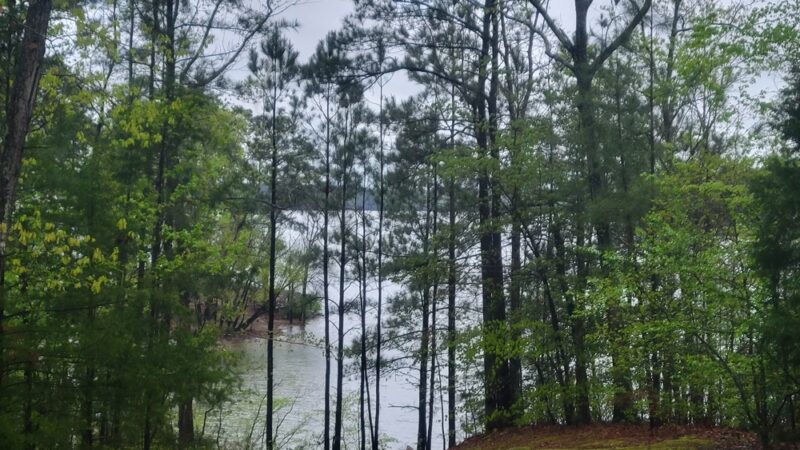 Bullocksville Park - Manson, NC