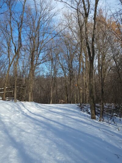 Robert Ney Memorial Park Reserve - Maple Lake, MN