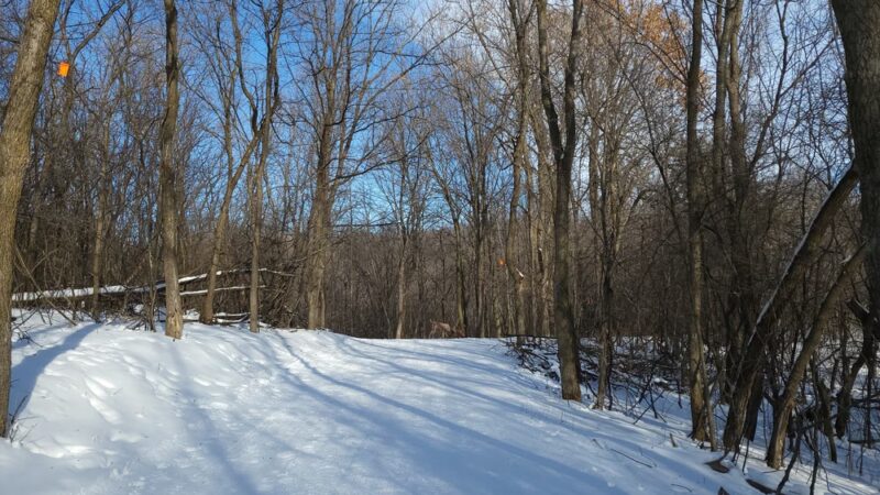 Robert Ney Memorial Park Reserve - Maple Lake, MN