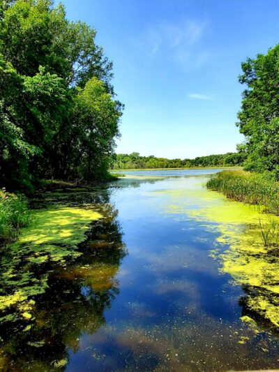 Robert Ney Memorial Park Reserve - Maple Lake, MN