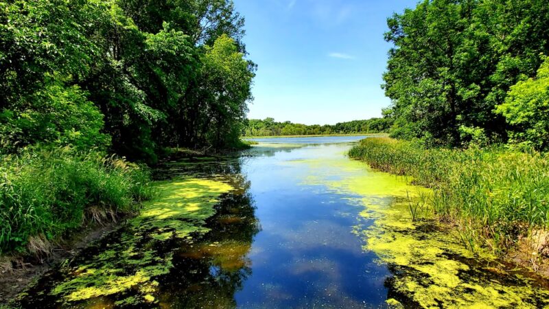 Robert Ney Memorial Park Reserve - Maple Lake, MN