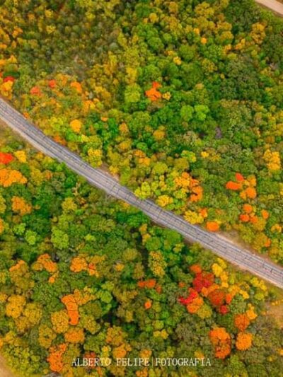 Robert Ney Memorial Park Reserve - Maple Lake, MN