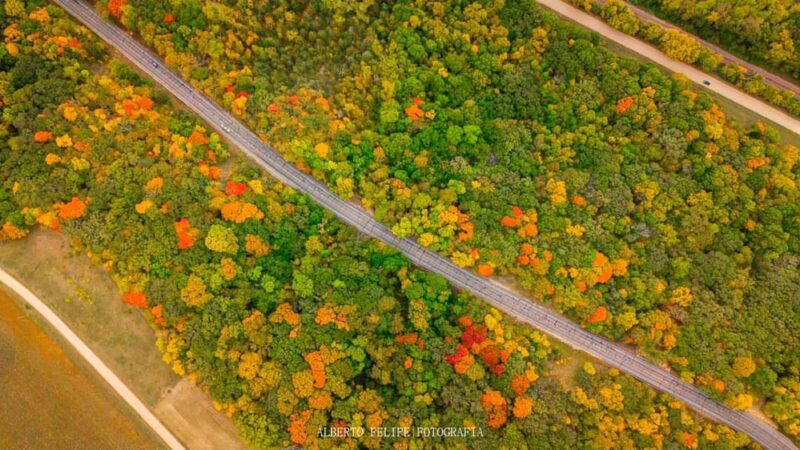 Robert Ney Memorial Park Reserve - Maple Lake, MN