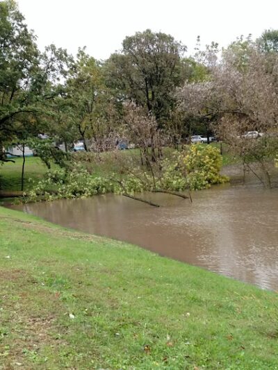 CH McAlister Park - Mapleview, MN