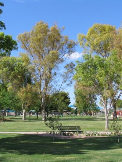 Ora Mae Harn District Park - Marana, AZ