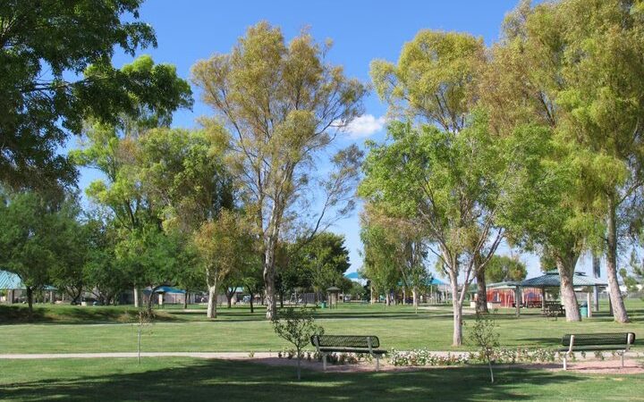 Ora Mae Harn District Park - Marana, AZ