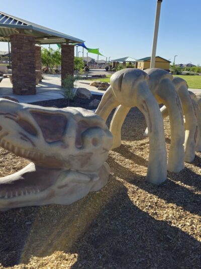 Paws 'n Claws Park - Marana, AZ