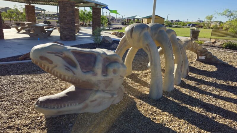 Paws 'n Claws Park - Marana, AZ