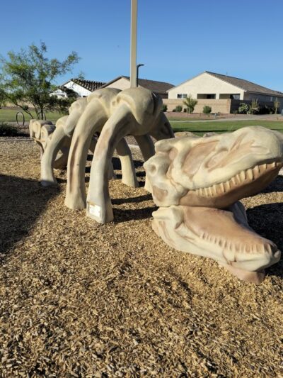 Paws 'n Claws Park - Marana, AZ