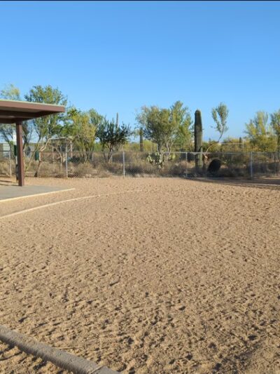 Tangerine Sky Community - Dog Park - Marana, AZ