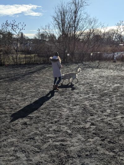 Marblehead Dog Park - Marblehead, MA