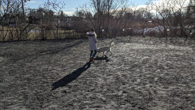 Marblehead Dog Park - Marblehead, MA