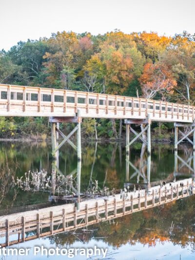 Smallwood State Park - Marbury, MD