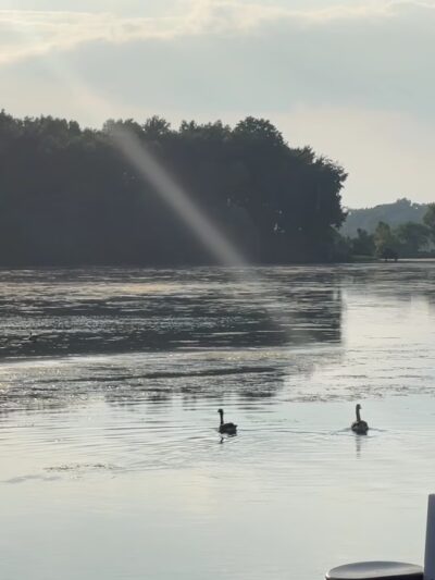 Smallwood State Park - Marbury, MD
