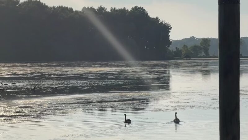 Smallwood State Park - Marbury, MD