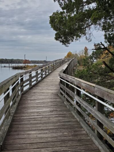 Smallwood State Park - Marbury, MD
