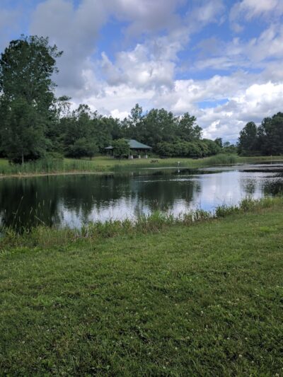 Skaneateles Conservation Area - Marcellus, NY