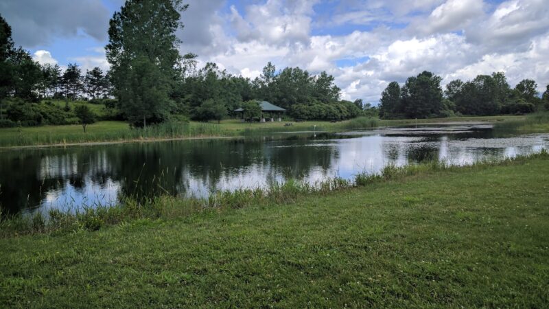 Skaneateles Conservation Area - Marcellus, NY