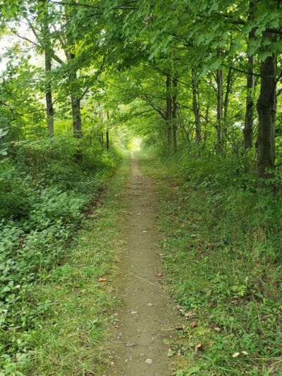 Skaneateles Conservation Area - Marcellus, NY