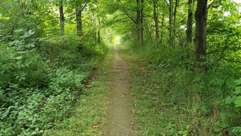 Skaneateles Conservation Area - Marcellus, NY