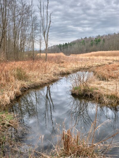 Skaneateles Conservation Area - Marcellus, NY