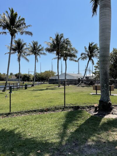 Canine Cove Dog Park - Marco Island, FL