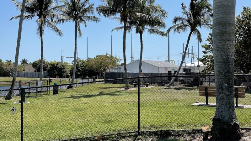 Canine Cove Dog Park - Marco Island, FL