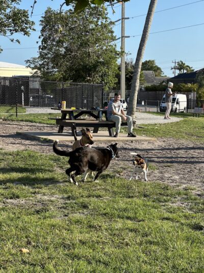 Canine Cove Dog Park - Marco Island, FL