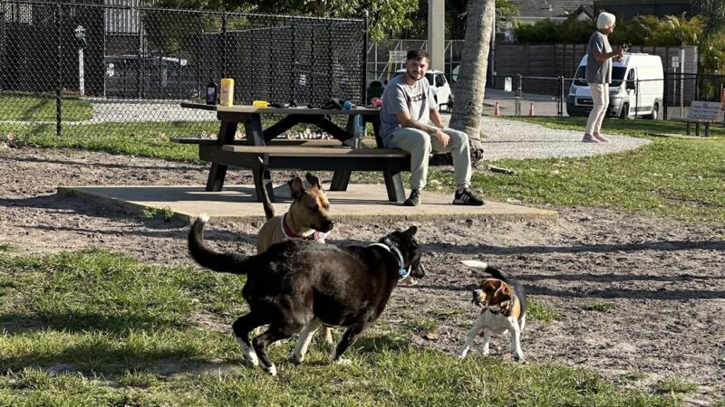 Canine Cove Dog Park - Marco Island, FL
