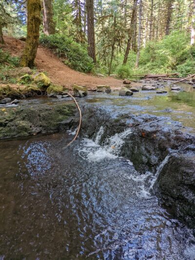 Shotgun Creek Trailhead - Marcola, OR