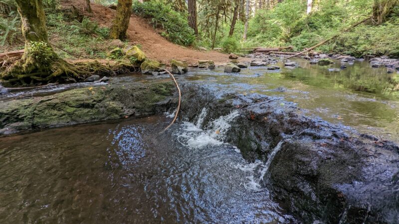Shotgun Creek Trailhead - Marcola, OR