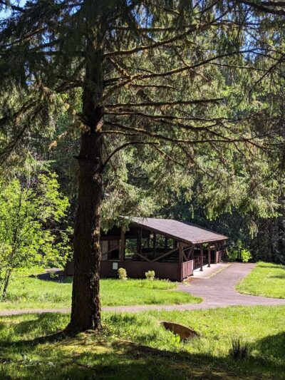 Shotgun Creek Trailhead - Marcola, OR