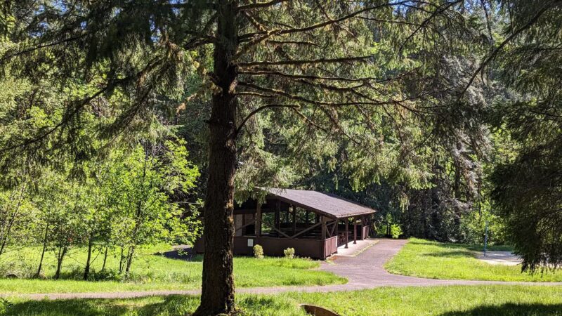 Shotgun Creek Trailhead - Marcola, OR
