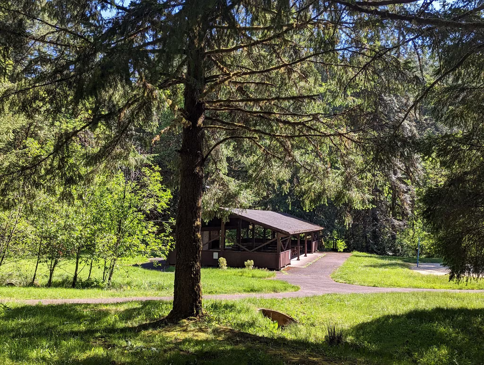 Shotgun Creek Trailhead - Marcola, OR
