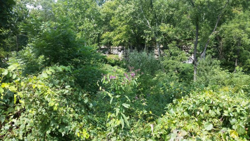 Marengo Rest Park - Marengo, IN