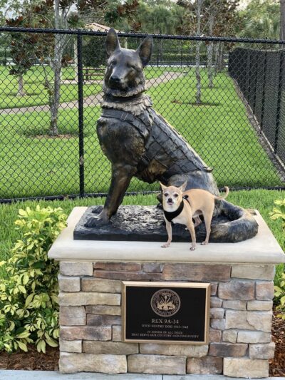 Dog Park- Firefighters Park - Margate, FL