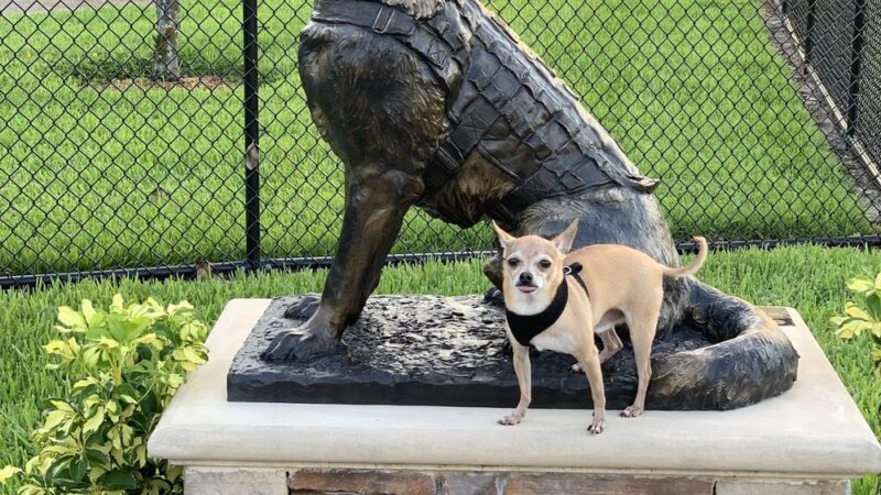 Dog Park- Firefighters Park - Margate, FL