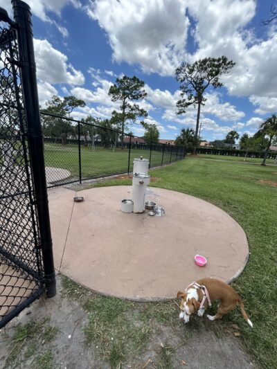 Dog Park- Firefighters Park - Margate, FL