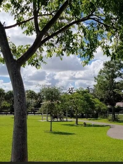 Dog Park- Firefighters Park - Margate, FL