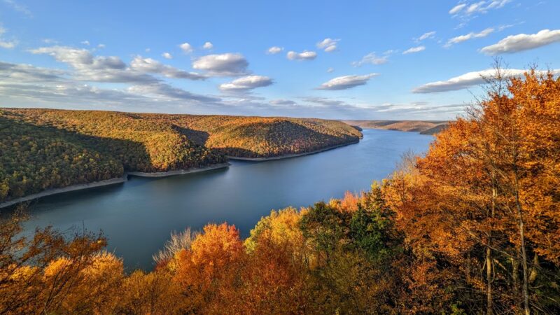 Allegheny National Forest - Marienville, PA