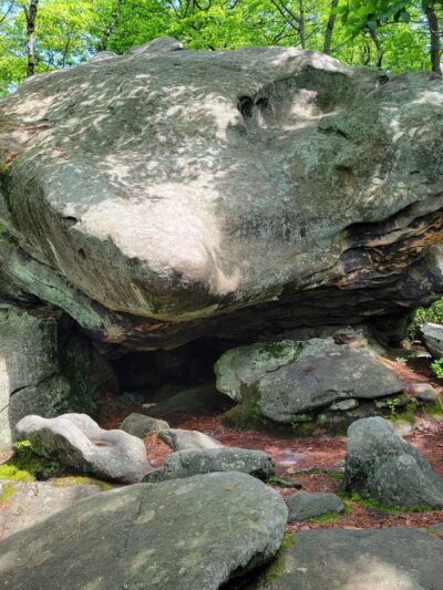 Allegheny National Forest - Marienville, PA