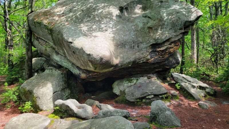 Allegheny National Forest - Marienville, PA