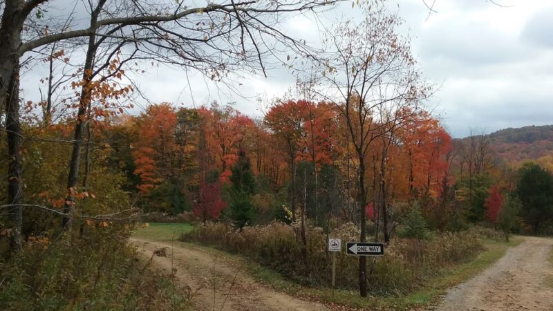 The Forest Lodge & Campground - Marienville, PA