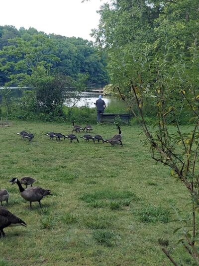 Gantt Park - Marietta, GA