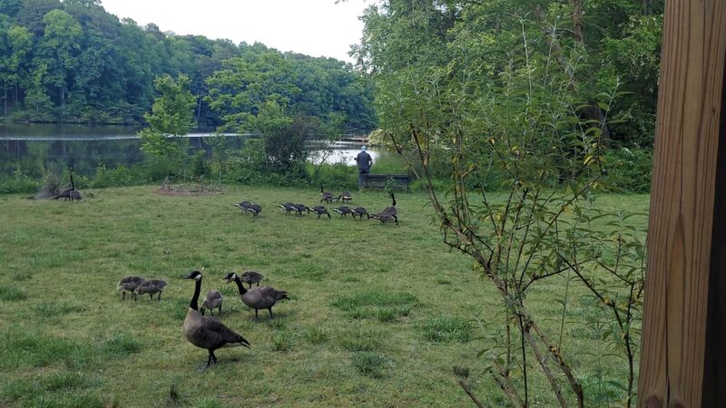 Gantt Park - Marietta, GA