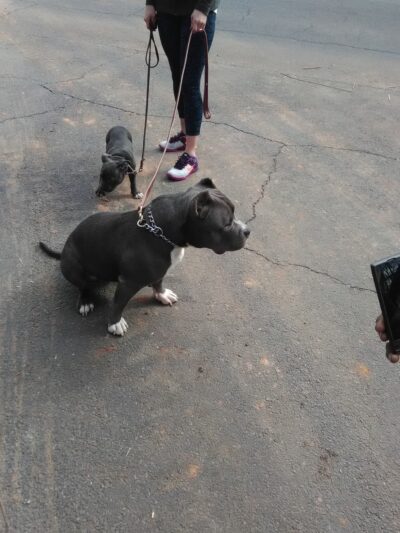 Gantt Park - Marietta, GA