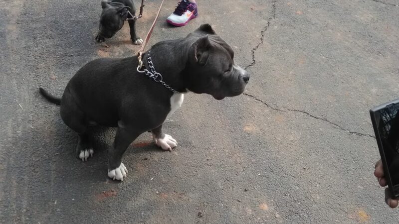 Gantt Park - Marietta, GA