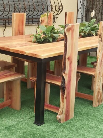 Joanne Woodward Park - Marietta, GA