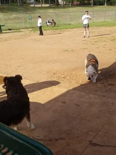 Lewis Park - Marietta, GA